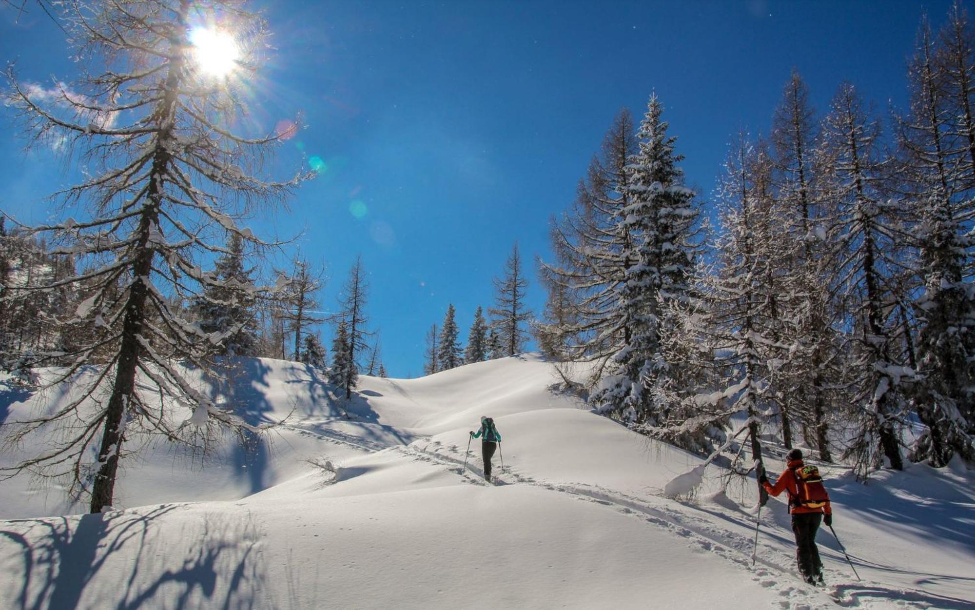 Naturparkresort Geoapartment Gams bei Hieflau Exteriör bild